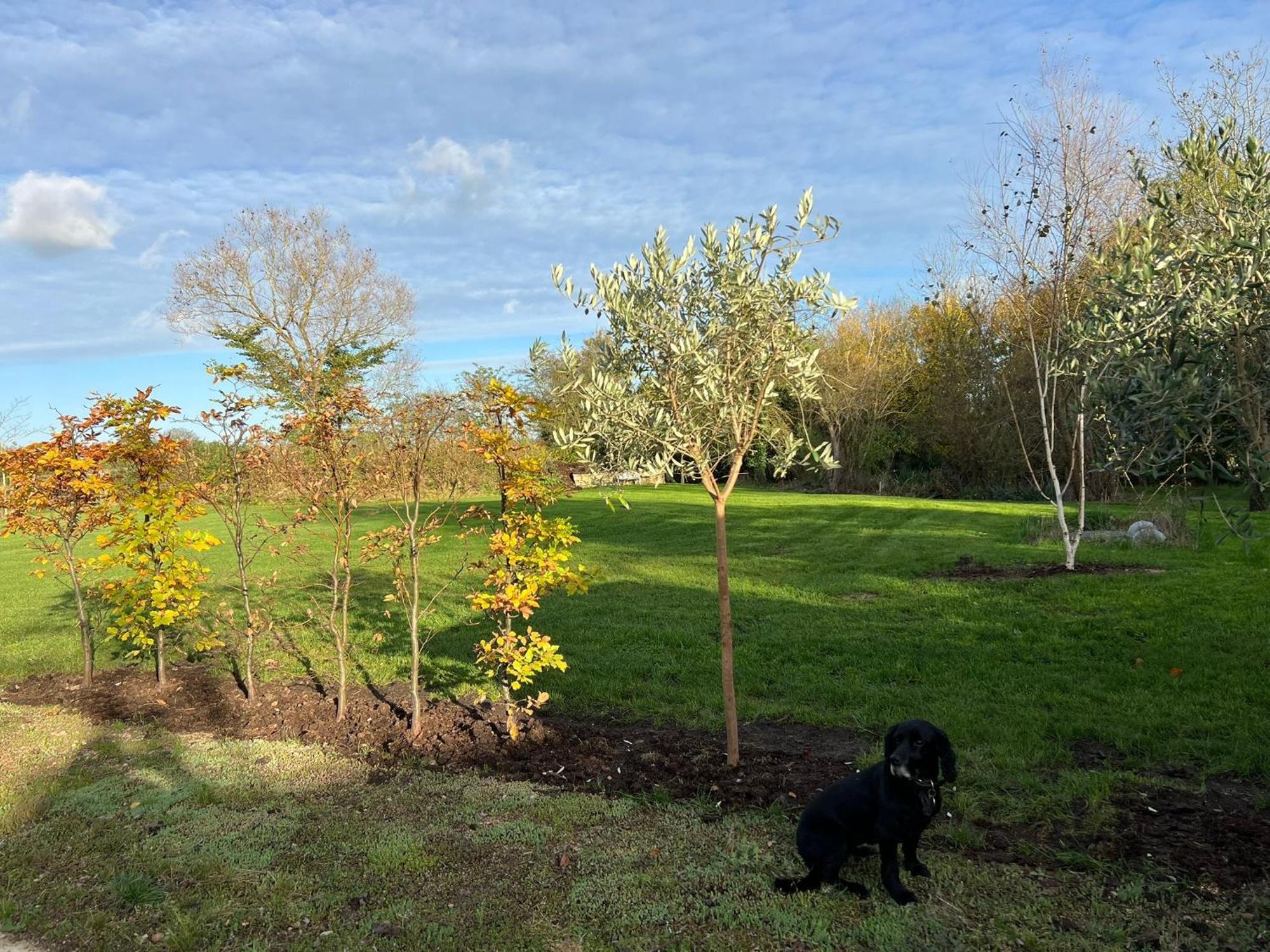 헤일리 Idyllic Secluded Hideaway With Countryside Views On The Edge Of The Cotswolds 빌라 외부 사진